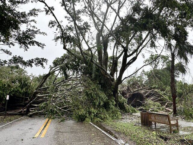 'Very scary:' EF1 tornado leaves trail of damage in Martin County - Vimarsana News