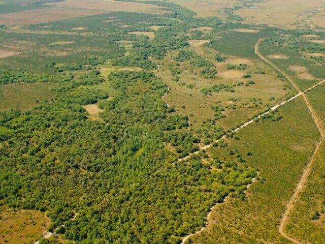 Study: Wildlife Corridor protects state from floods, fires, climate change - Vimarsana News