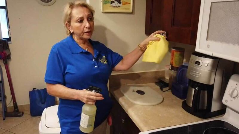 Lauren Reza is a Jupiter mom and pediatric nurse who knows a thing or two about germs. During...