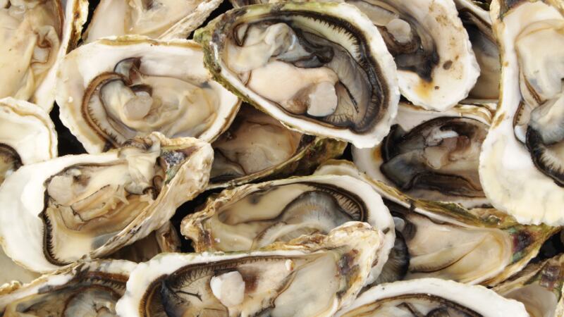 According to the health department, the number of Vibrio infections in the United States is...