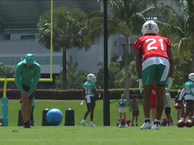 New faces take the field at Dolphins minicamp, but where's OBJ? - Vimarsana News